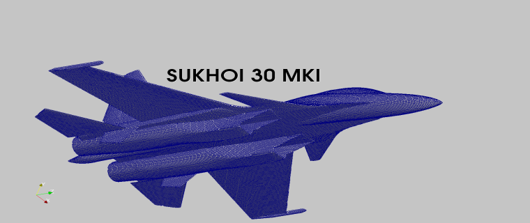 Mesh generated for Sukhoi Su-30 MKI using snappyHexMesh. 